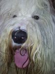 20120307_124345.jpg