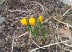 20120320_121113.jpg