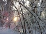 20121228_133922.jpg