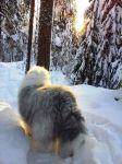 20121228_134622.jpg