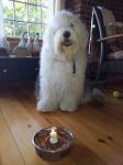20130720_201341.jpg