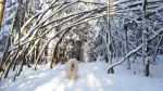 20160222_153445(0)  Kopi.jpg