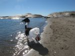 IMG_2955.JPG