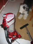 FRED VERSUS THE VACUUM.JPG