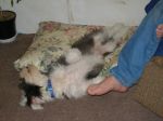Beauford at his best.jpg