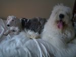 DSC00151.JPG