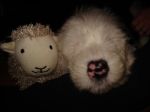 DSC00430.JPG