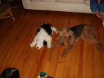 DSC00432.JPG