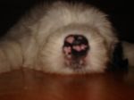 DSC00434.JPG