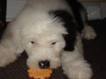 DSC00459.JPG