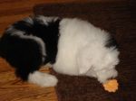 DSC00460.JPG