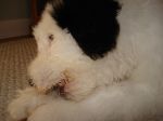 DSC00463.JPG