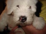 DSC00464.JPG