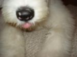 DSC00490.JPG