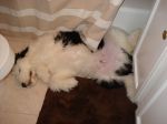 DSC00491.JPG