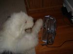 DSC00546.JPG