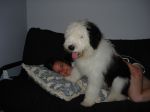 DSC00558.JPG