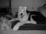 DSC00569.JPG
