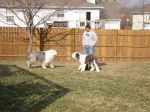 DSC00772.JPG