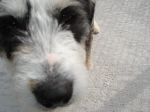 DSC00800.JPG
