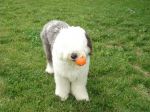 DSC00843.JPG