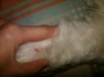 IMG00256-20101217-2020.jpg