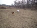 Picture 051.jpg