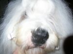 Picture 001.jpg