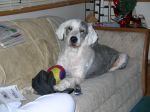 Picture 002.jpg