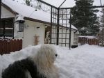 Picture 003.jpg