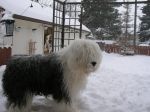 Picture 004.jpg