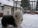Picture 005.jpg