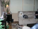 Picture 160.jpg