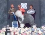 Rigley Best of Winners OESCA Centennial Show 2005.jpg