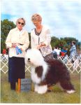 Rigley Winners Dog Lake Minnetonka Show June, 2003 5 point Major.jpg