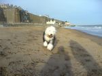 Beach5.jpg