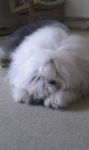 IMAG0792.jpg