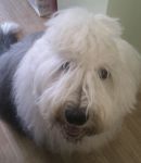 IMAG0913-1.jpg
