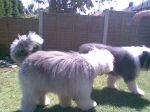 Image035.jpg