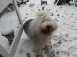 happy snow.JPG