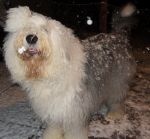 snow5.JPG