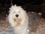 snow8.JPG