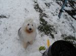 snowman5.JPG