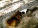 pictures 025.jpg
