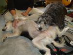 DSC01832.JPG