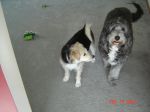 DSC01922.JPG