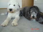DSC02318.JPG