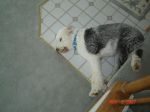 DSC02440.JPG