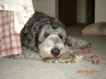 DSC02483.JPG