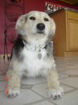 DSC02890.JPG
